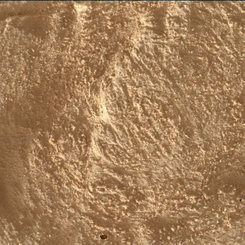 Sol 4890: Mars Hand Lens Imager (MAHLI)
