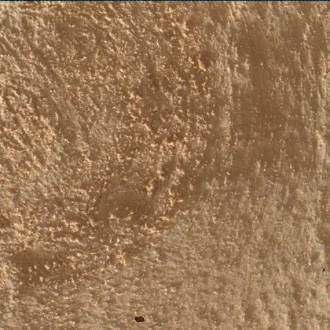 Sol 4890: Mars Hand Lens Imager (MAHLI)