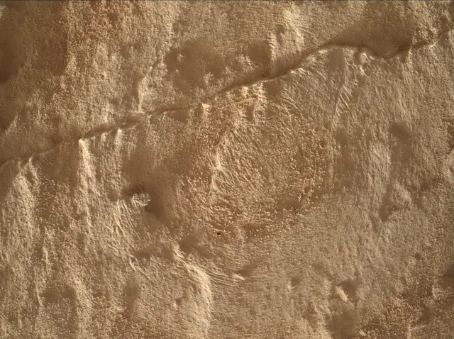 Sol 4890: Mars Hand Lens Imager (MAHLI)