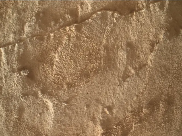 Sol 4890: Mars Hand Lens Imager (MAHLI)