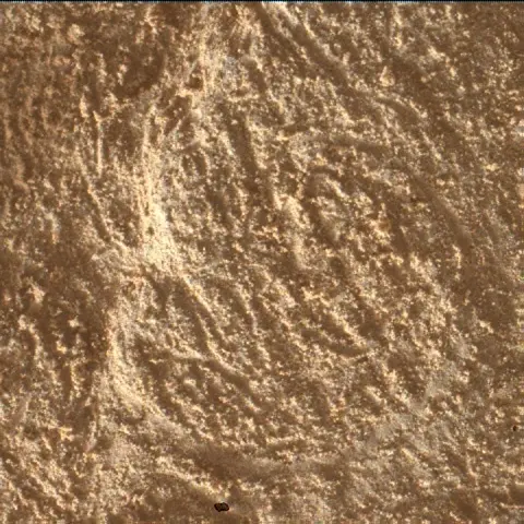 Sol 4890: Mars Hand Lens Imager (MAHLI)