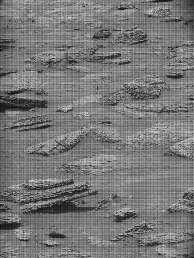 Sol 4891: Mast Camera (Mastcam)