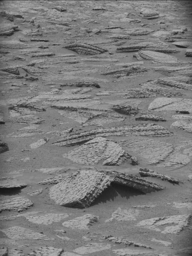 Sol 4891: Mast Camera (Mastcam)
