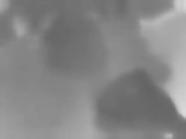 Sol 4891: Mars Hand Lens Imager (MAHLI)