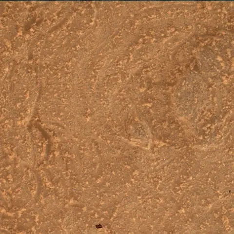 Sol 4895: Mars Hand Lens Imager (MAHLI)