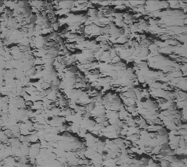 Sol 4896: Mast Camera (Mastcam)