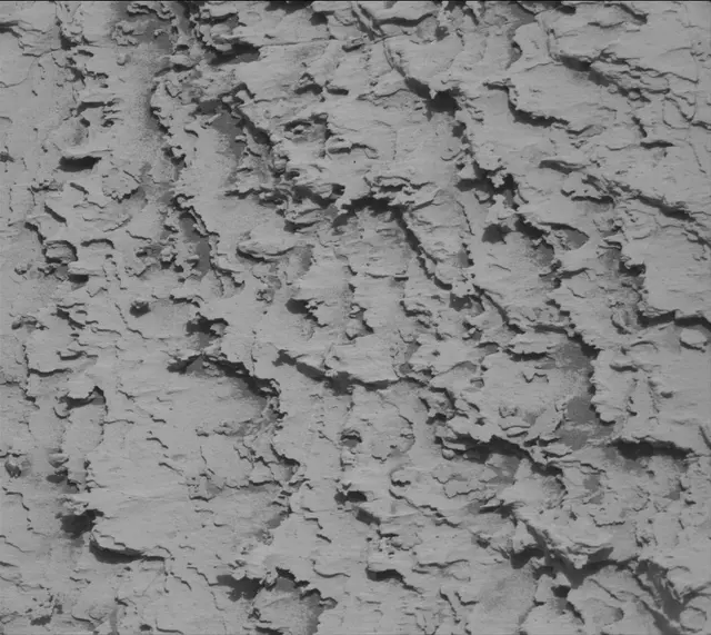 Sol 4911: Mast Camera (Mastcam)