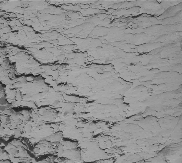 Sol 4911: Mast Camera (Mastcam)