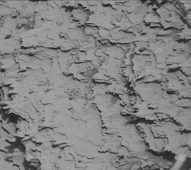 Sol 4911: Mast Camera (Mastcam)