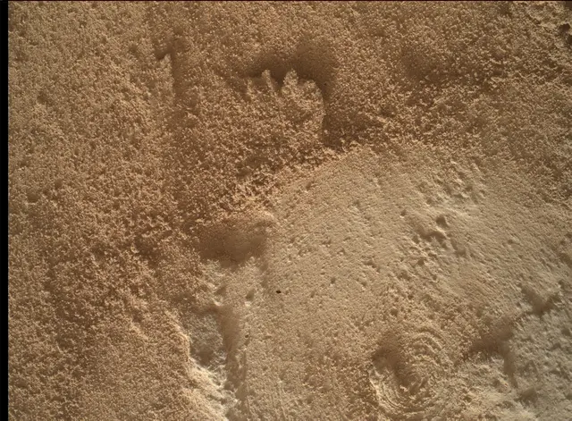 Sol 4917: Mars Hand Lens Imager (MAHLI)