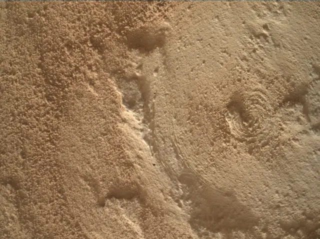 Sol 4917: Mars Hand Lens Imager (MAHLI)