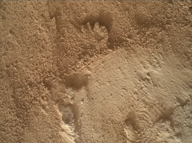 Sol 4917: Mars Hand Lens Imager (MAHLI)