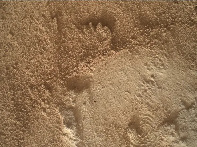 Sol 4917: Mars Hand Lens Imager (MAHLI)