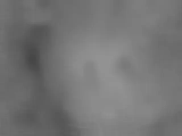 Sol 4919: Mars Hand Lens Imager (MAHLI)