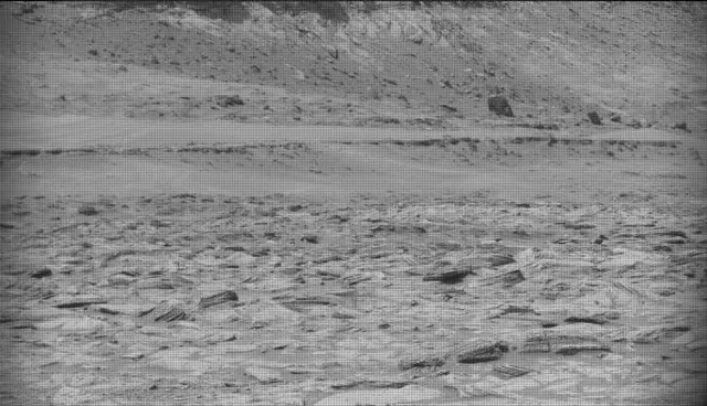 Sol 4921: Mast Camera (Mastcam)