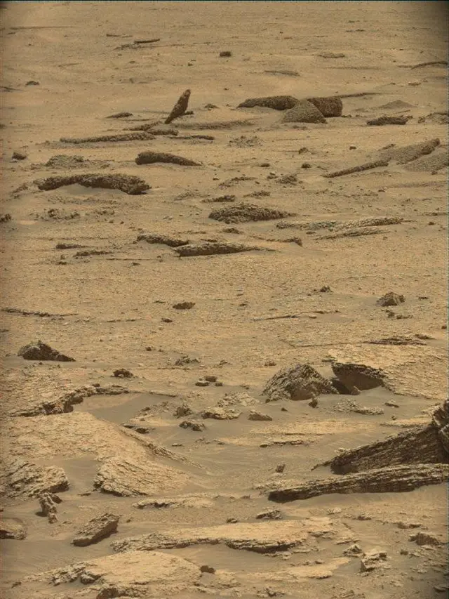 Sol 4921: Mast Camera (Mastcam)