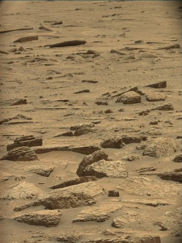 Sol 4921: Mast Camera (Mastcam)