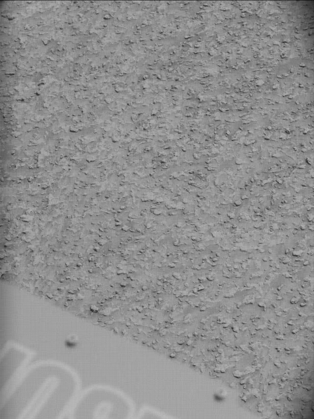 Sol 4923: Mast Camera (Mastcam)