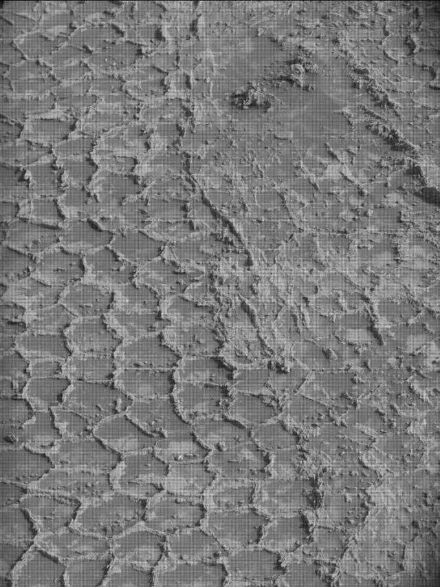 Sol 4928: Mast Camera (Mastcam)