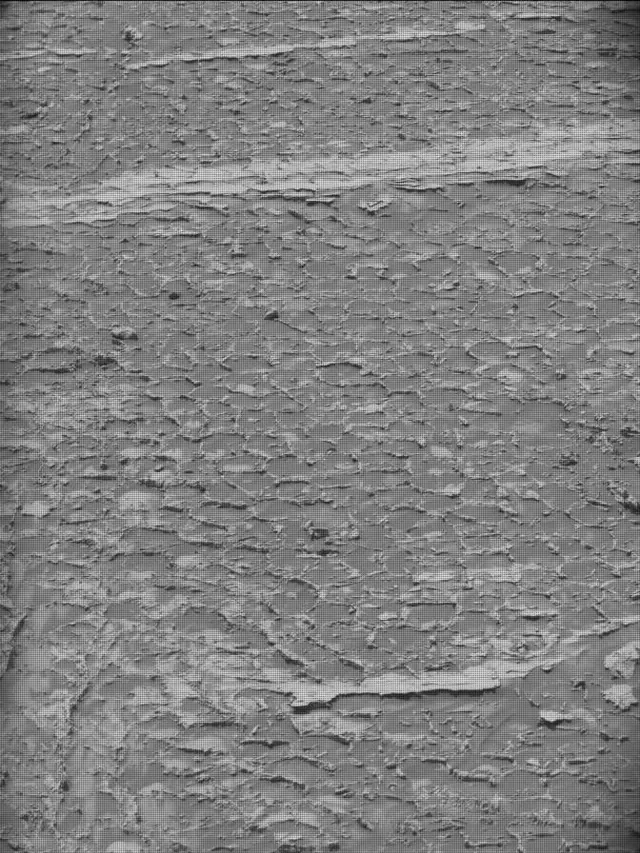 Sol 4931: Mast Camera (Mastcam)