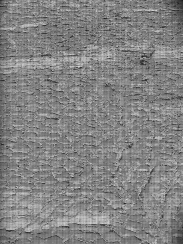 Sol 4931: Mast Camera (Mastcam)