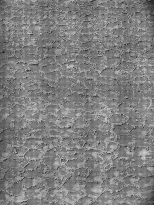 Sol 4931: Mast Camera (Mastcam)