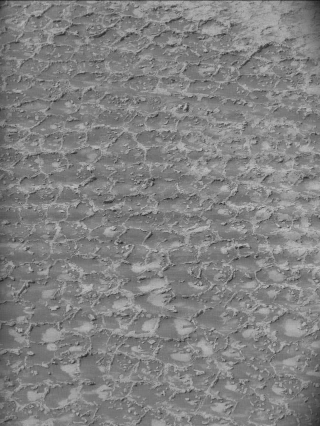 Sol 4931: Mast Camera (Mastcam)