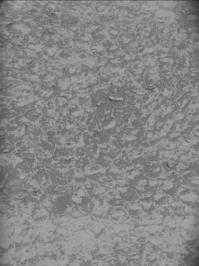 Sol 4931: Mast Camera (Mastcam)