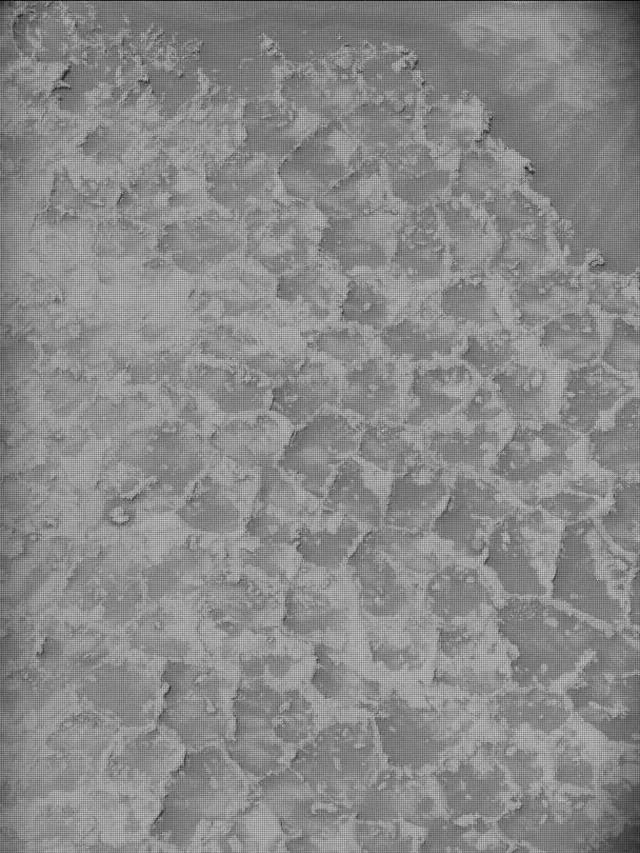 Sol 4931: Mast Camera (Mastcam)
