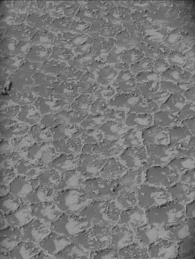 Sol 4931: Mast Camera (Mastcam)
