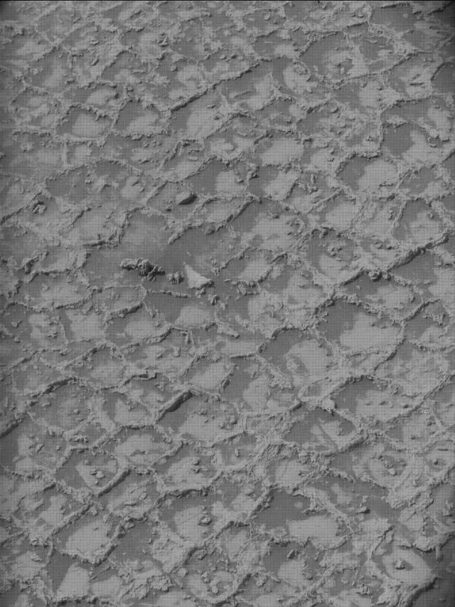 Sol 4931: Mast Camera (Mastcam)