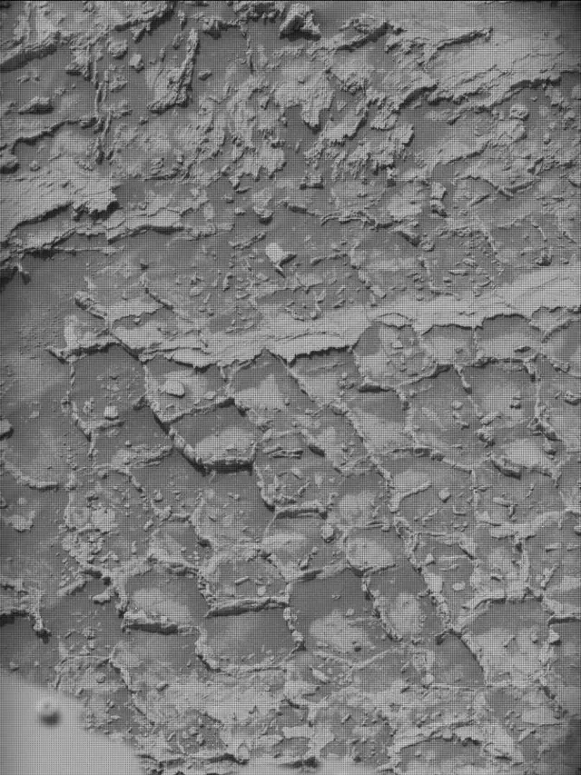 Sol 4931: Mast Camera (Mastcam)