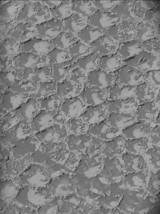 Sol 4931: Mast Camera (Mastcam)