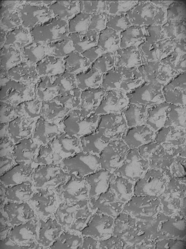 Sol 4931: Mast Camera (Mastcam)