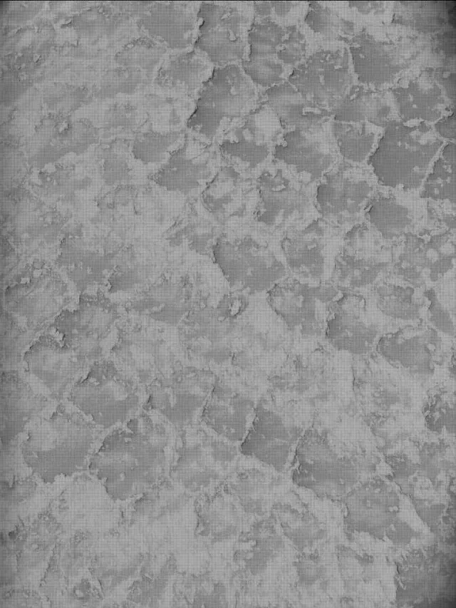 Sol 4931: Mast Camera (Mastcam)