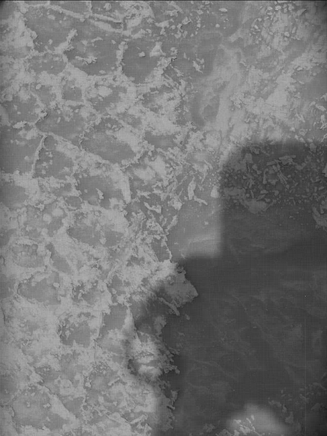 Sol 4931: Mast Camera (Mastcam)