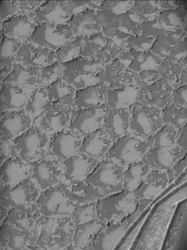 Sol 4931: Mast Camera (Mastcam)