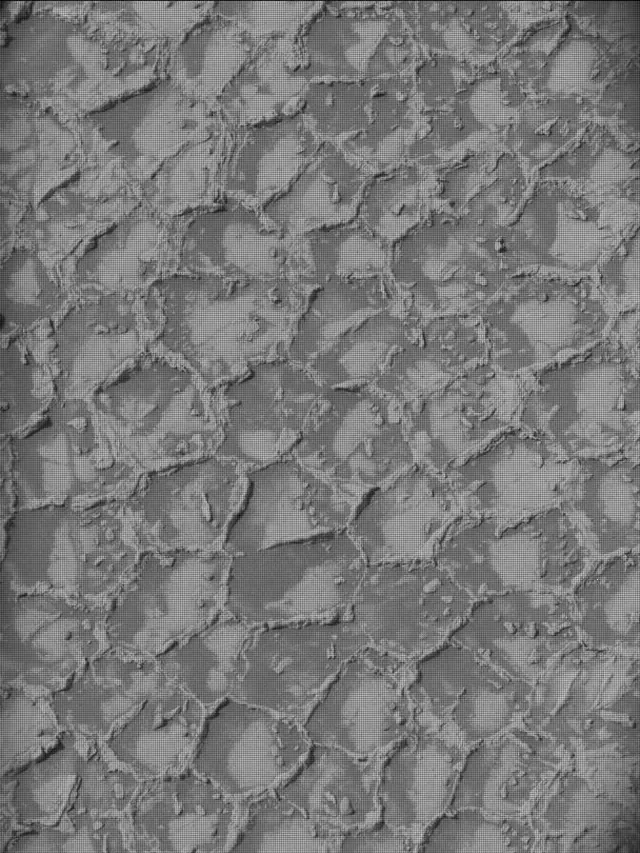 Sol 4931: Mast Camera (Mastcam)