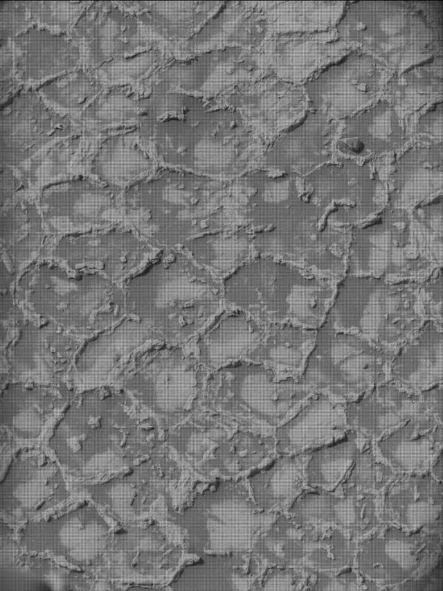 Sol 4931: Mast Camera (Mastcam)