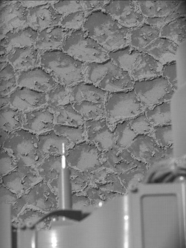 Sol 4931: Mast Camera (Mastcam)