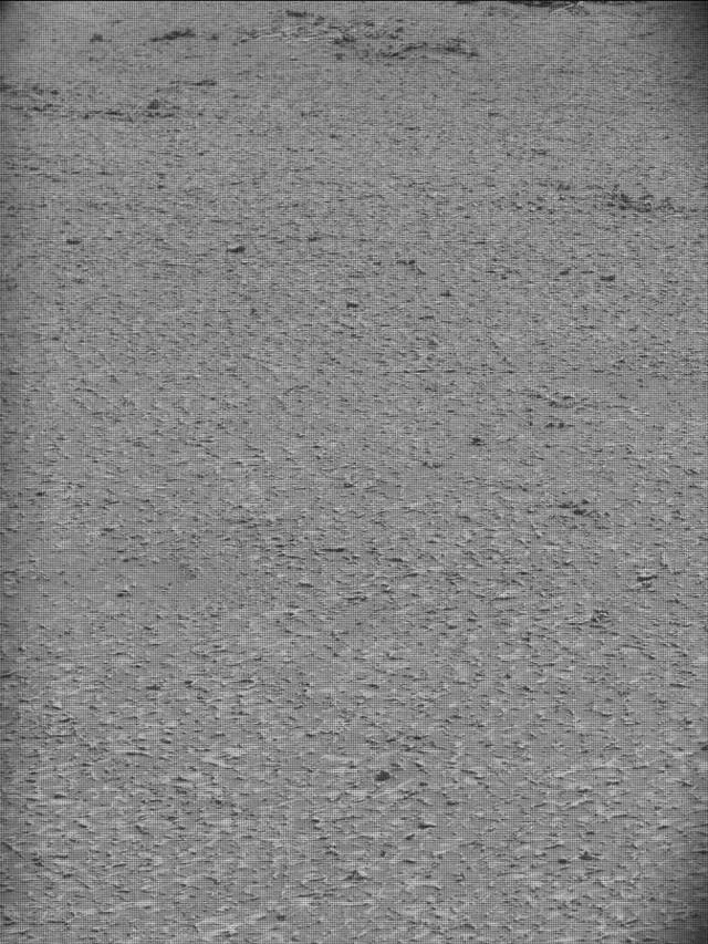 Sol 4932: Mast Camera (Mastcam)