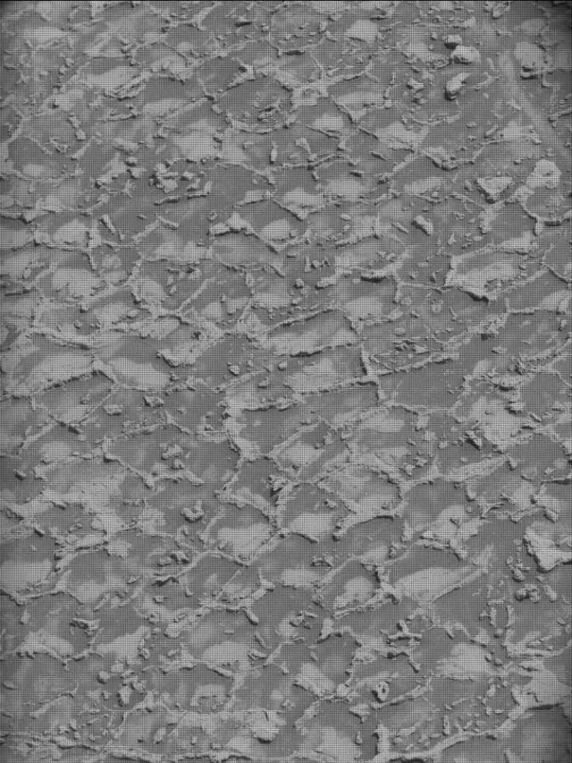 Sol 4932: Mast Camera (Mastcam)