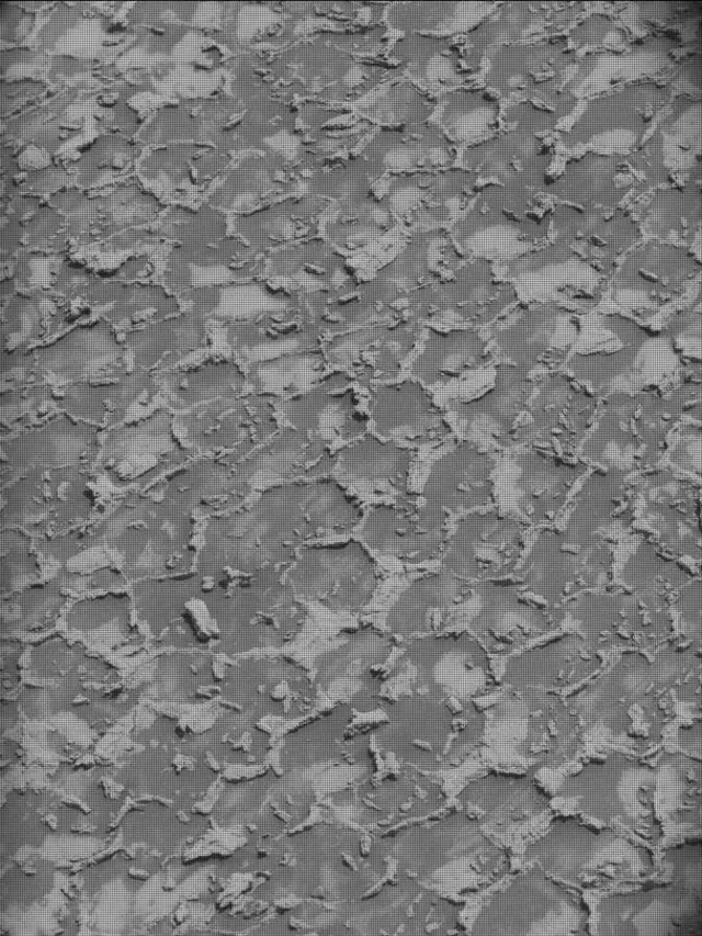 Sol 4932: Mast Camera (Mastcam)