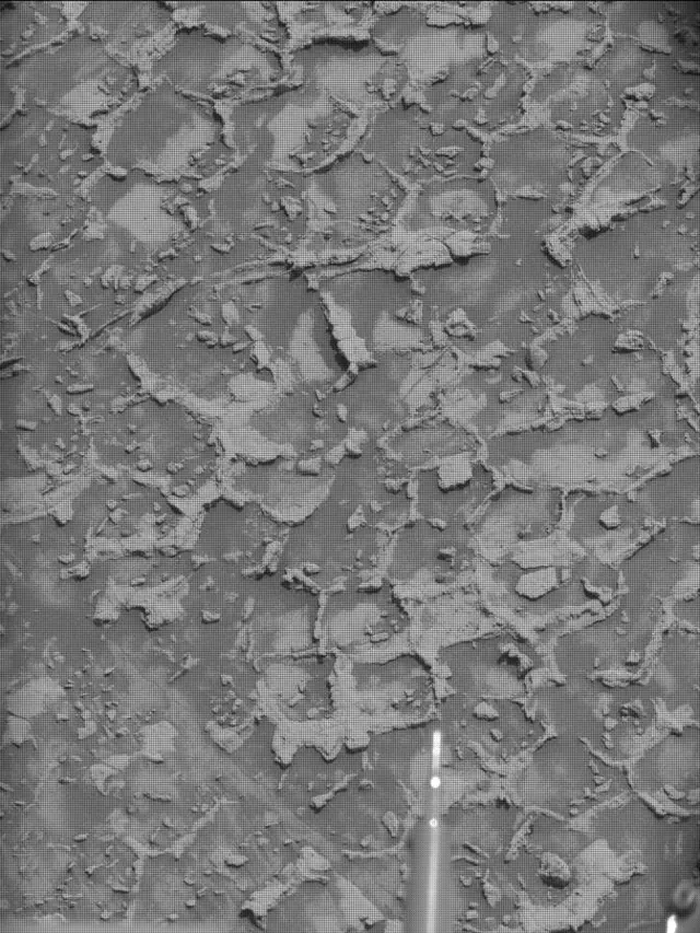 Sol 4932: Mast Camera (Mastcam)