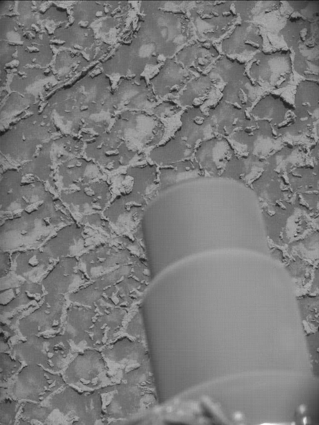 Sol 4932: Mast Camera (Mastcam)
