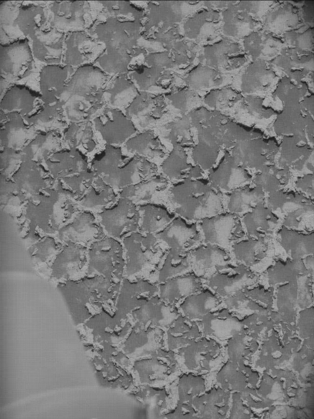 Sol 4932: Mast Camera (Mastcam)