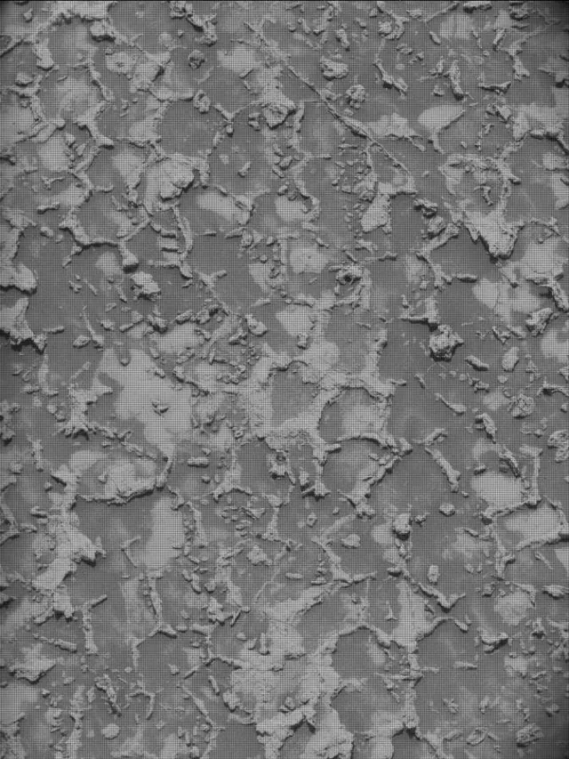 Sol 4932: Mast Camera (Mastcam)
