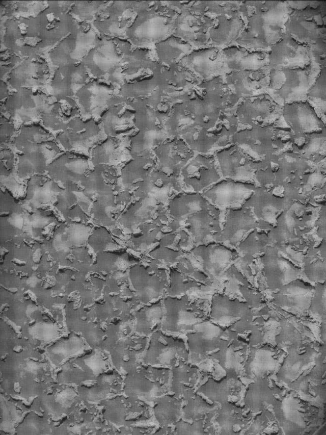 Sol 4932: Mast Camera (Mastcam)