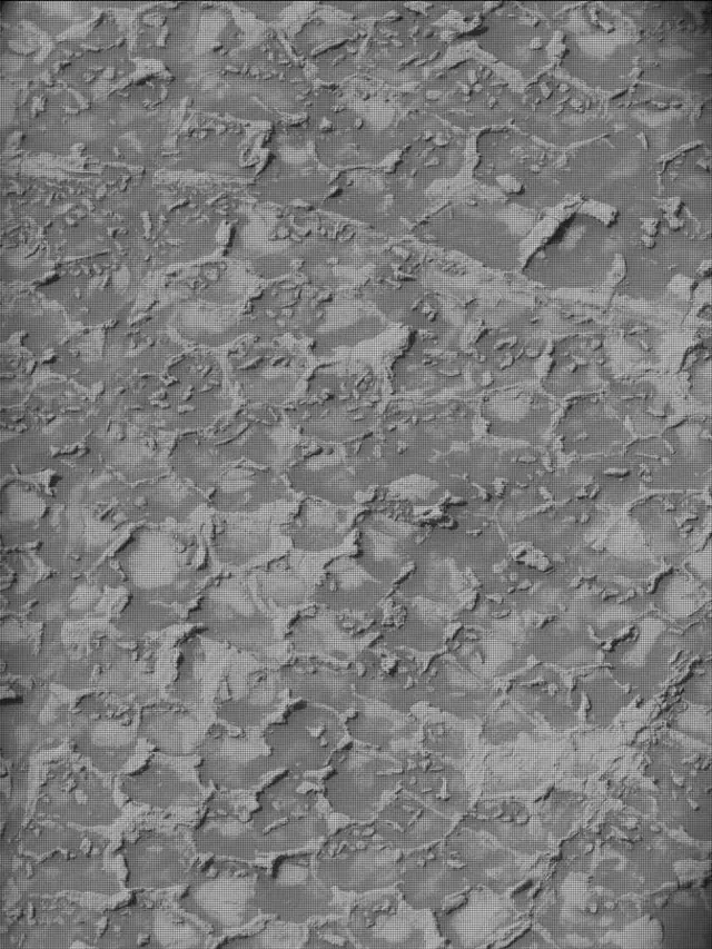 Sol 4932: Mast Camera (Mastcam)