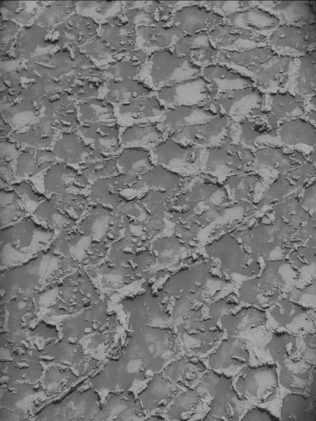 Sol 4932: Mast Camera (Mastcam)